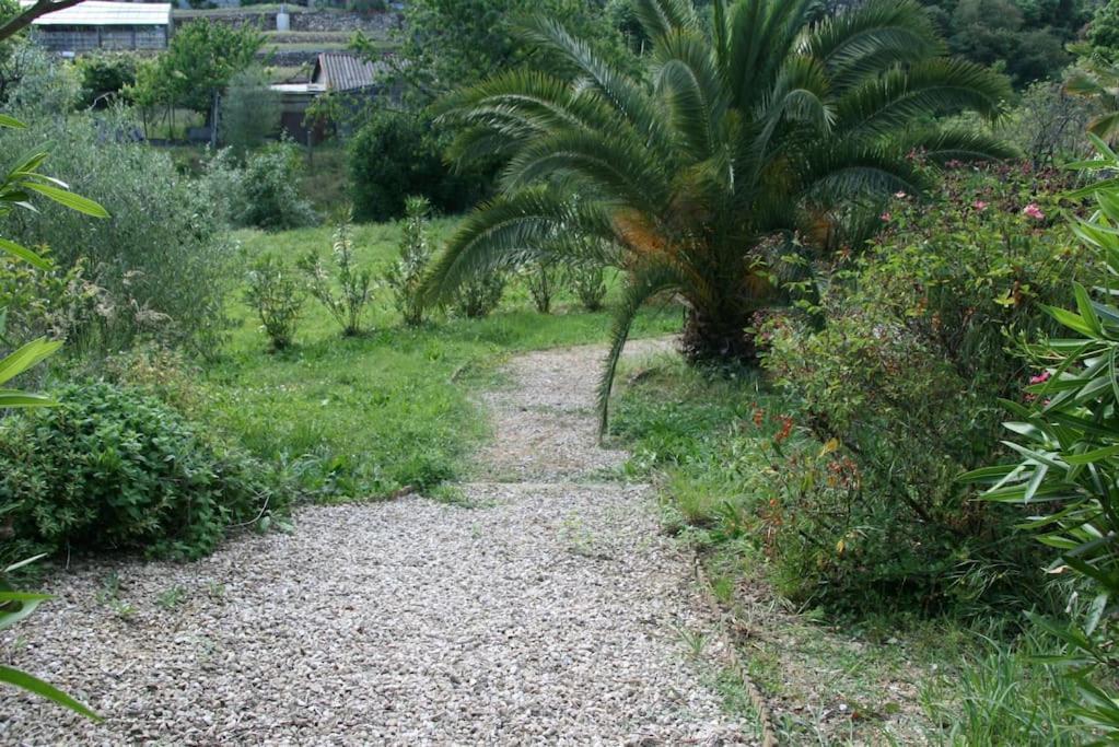 Villa Constance 3 Antibes - Spacieux Logement En Dernier Etage Ngoại thất bức ảnh